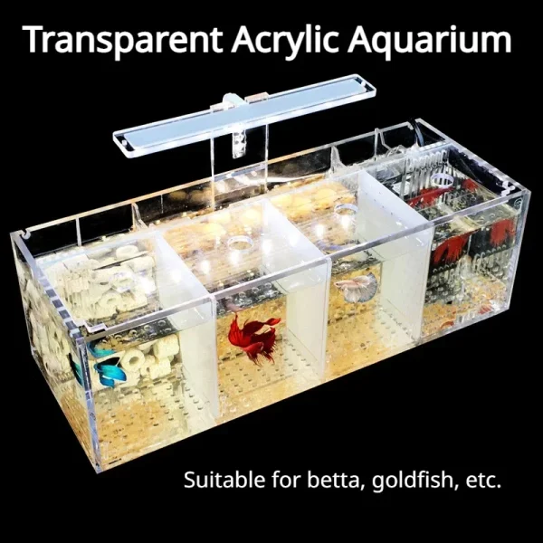 Aquarium Acrylic Fish Tank Breeding Isolation Box Goldfish Fighting