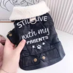Waterproof Dog Coat Snow Winter Leather Outfit For Small Medium Animal - Image 2