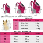 Double Shoulder Portable Travel Backpack Outdoor Pet Dog - Image 5