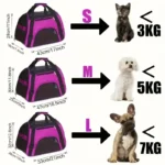 Bags Portable Dog Carrier - Image 5